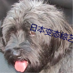 日本变(變)态综艺(藝)节目