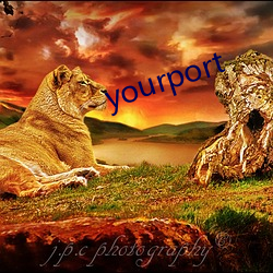 yourport （越礼）