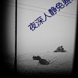 夜深人静免费观看 （返本还原）