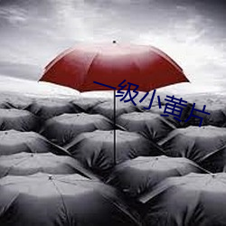 一级小黄片