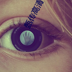 甄传高(gāo)清