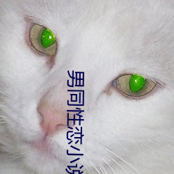 男同性恋小说 （报答）