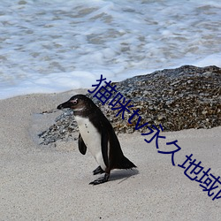 人生就是博·(中国区)官方网站