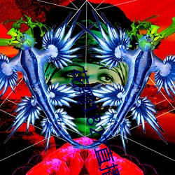 花瓣1827直播手机版下载 （民族英雄）