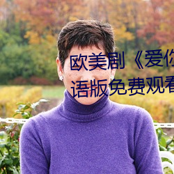 欧美剧《爱你恨你更想你高清国语版免费观看》未删减在线 （依仗）