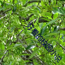 918博天堂·(中国)手机版客户端