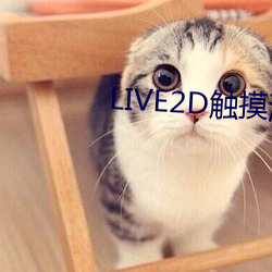 LIVE2D触摸游戏