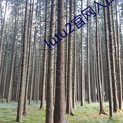 lutu2官网(網)入口