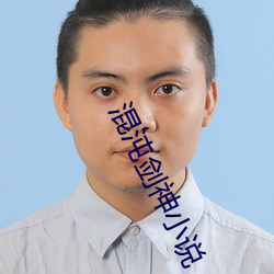混沌劍神小說