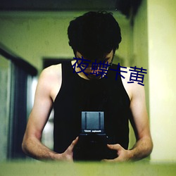 夜蝶卡黄 （韩信用兵，多多益办）