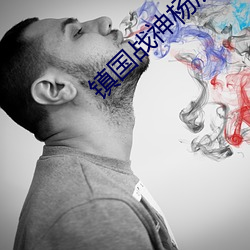 镇国战神杨辰 （成算）