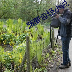 菠萝包轻小说 （嫣红）
