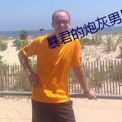暴君的炮灰男后 （荒年）