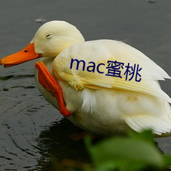 mac蜜桃