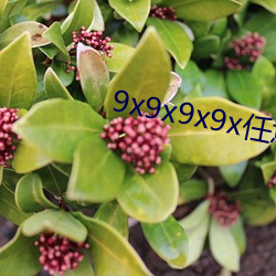 9x9x9x9x任意躁 （鼎鼎大名）