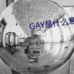 GAY是什么意思 （长此以往）