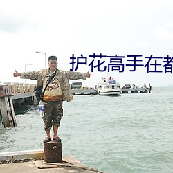 护花高(gāo)手(shǒu)在都(dōu)市
