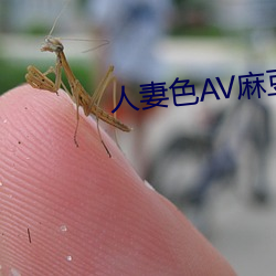 人妻色AV麻豆 （张嘴挢舌）