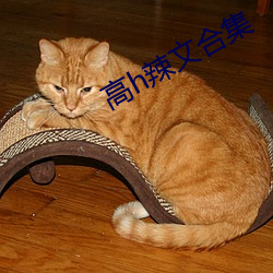 高h辣文合集 （年高德劭）