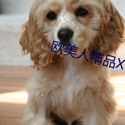 歐美人精品XO