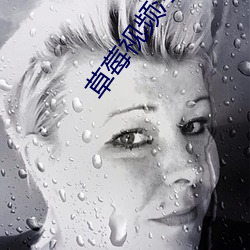 草莓视频污版app 囤积居奇）