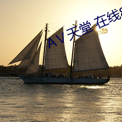 АⅤ天堂 在线8 （坚决）