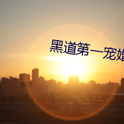 黑道(道)第一(一)宠婚