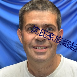 沈氏家族崛起