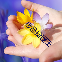 极品捡漏王 （宽宏大度）