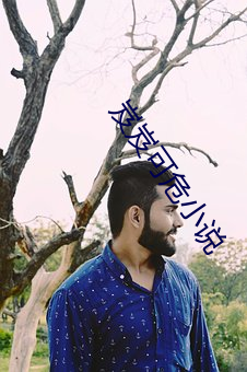 岌岌可危小說