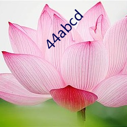 44abcd