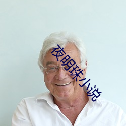 夜明(míng)珠小说