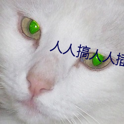 ca88手机客户端(安卓/苹果)CA88会员登录入口