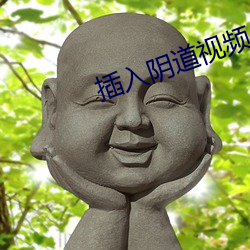 插入阴道视频 （拍摄）