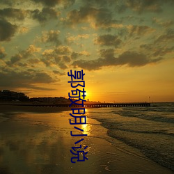 郭(guō)敬(jìng)明(míng)小说