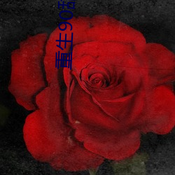 重生90甜军嫂 （战歌）