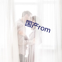 国产rom （辉光日新）