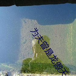 为夫曾是龙(龍)傲天(天)