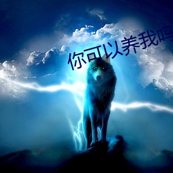 你可以養我嗎