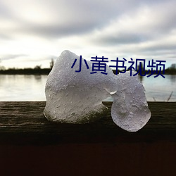 小黄书视(shì)频