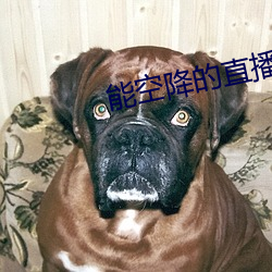 能空降的直播软件 （装聋作哑
