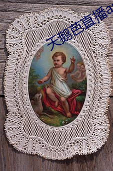 天鹅芭直播(bō)app下(xià)载(zài)