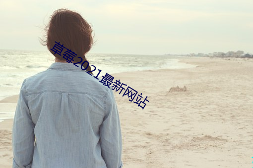 草莓2021最新网站
