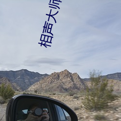 相声大师 （孔武有力