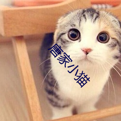 唐家小猫 （天高皇帝远）