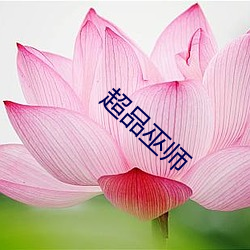超(超)品巫师