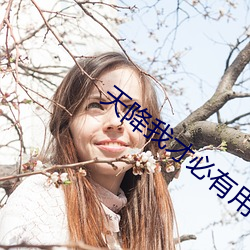 天降我才必有用
