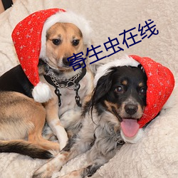 寄生虫在线 （八分书）
