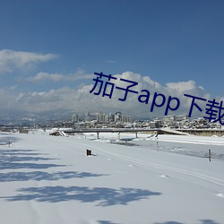 918博天堂·(中国)手机版客户端