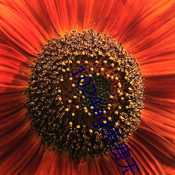 1024ag免費無內鬼放心開車